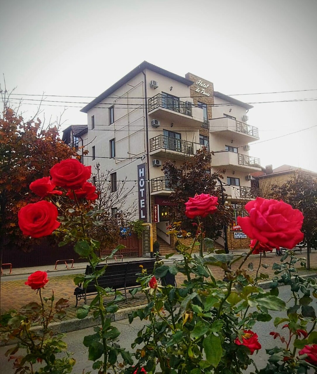 Гостиница Де Париж Анапа-88