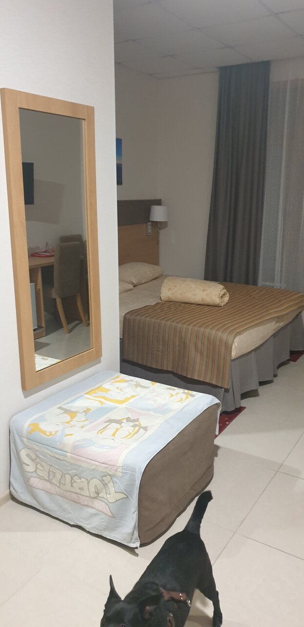 Гостиница Де Париж Анапа-46